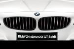 BMW Z4 sDrive 2.0i GT Spirit Special Edition 2014 года